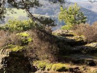 Groß (IMG_9074).jpeg