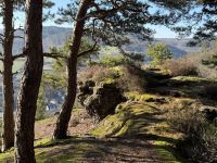 Groß (IMG_9073).jpeg