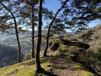 Groß (IMG_9071).jpeg