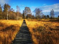 stege im moor Groß.jpeg