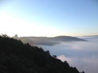 IMG_5906.jpeg